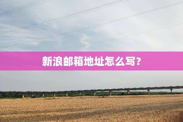 新浪邮箱地址怎么写？