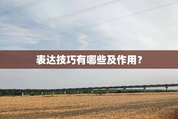 表达技巧有哪些及作用？