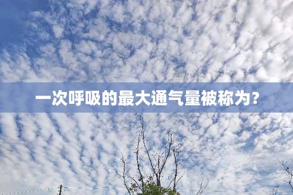 一次呼吸的最大通气量被称为？