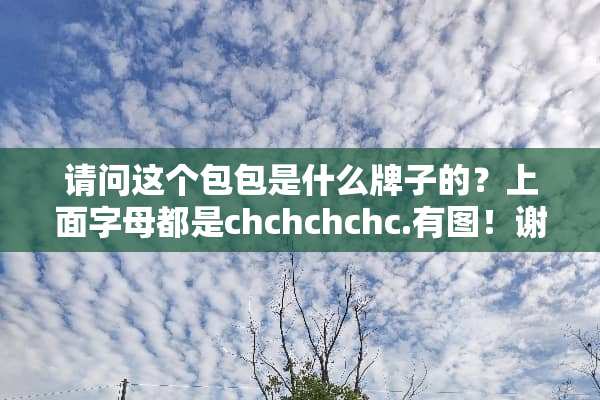 请问这个包包是什么牌子的？上面字母都是chchchchc.有图！谢谢了先