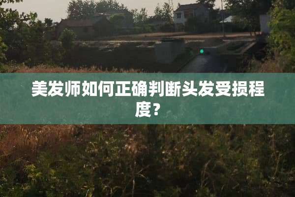 美发师如何正确判断头发受损程度？