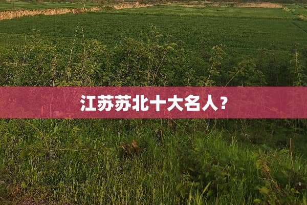 江苏苏北十大名人？