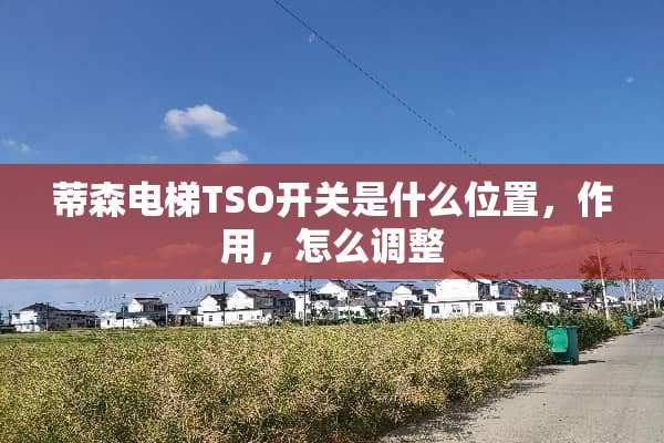 蒂森电梯TSO开关是什么位置，作用，怎么调整