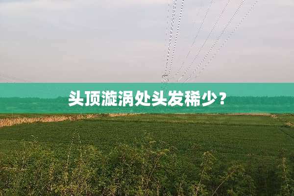 头顶漩涡处头发稀少？