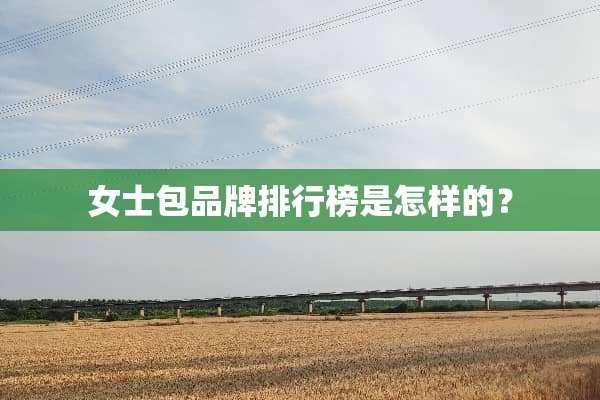 女士包品牌排行榜是怎样的？