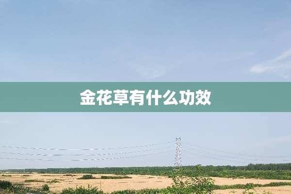 金花草有什么功效