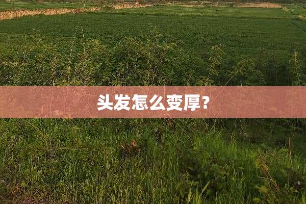 头发怎么变厚？