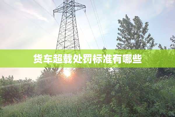货车超载处罚标准有哪些