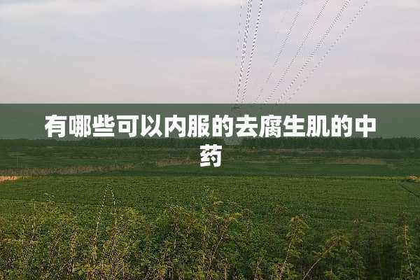 有哪些可以内服的去腐生肌的中药