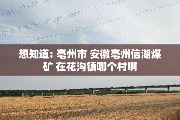 想知道: 亳州市 安徽亳州信湖煤矿 在花沟镇哪个村啊