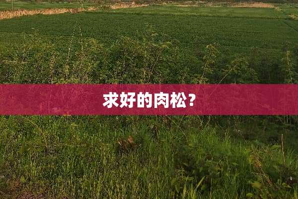求好的肉松？