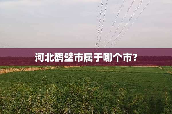 河北鹤壁市属于哪个市？