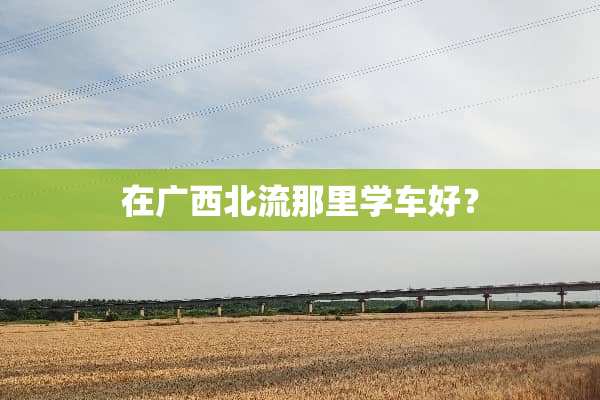 在广西北流那里学车好？