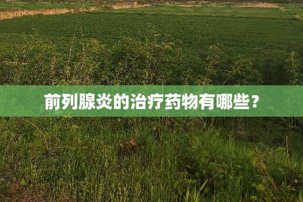 前列腺炎的治疗药物有哪些？