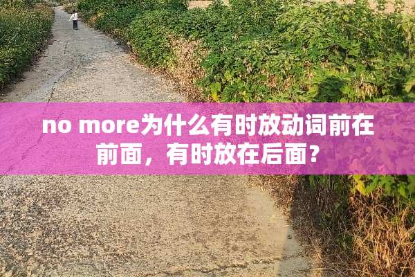 no more为什么有时放动词前在前面，有时放在后面？