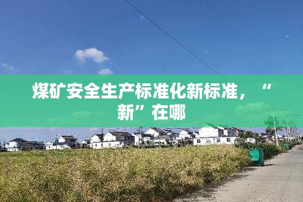 煤矿安全生产标准化新标准，“新”在哪