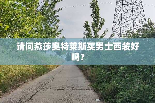 请问燕莎奥特莱斯买男士西装好吗？