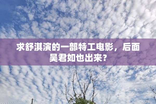 求**演的一部特工电影，后面吴君如也出来？