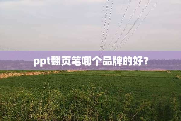 ppt翻页笔哪个品牌的好？