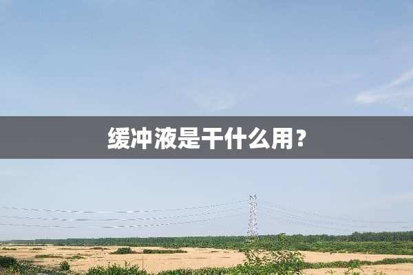 缓冲液是干什么用？