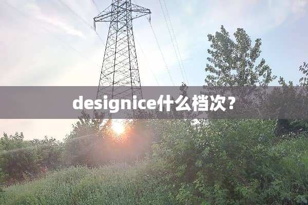 designice什么档次？