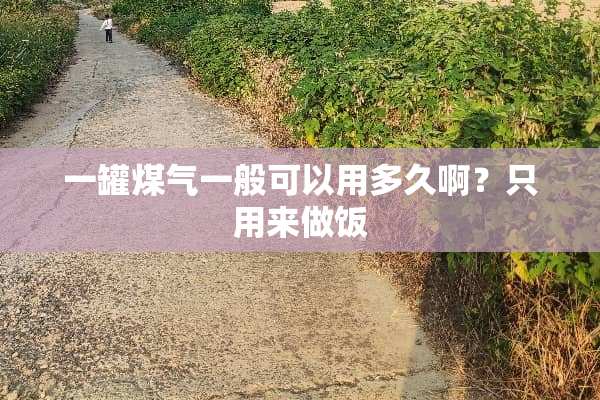 一罐煤气一般可以用多久啊？只用来做饭