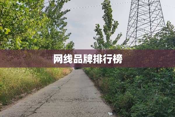 网线品牌排行榜