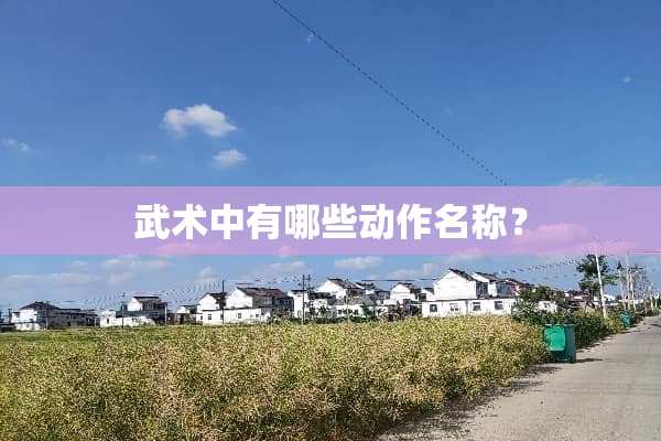 武术中有哪些动作名称？