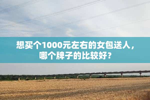想买个1000元左右的女包送人，哪个牌子的比较好？
