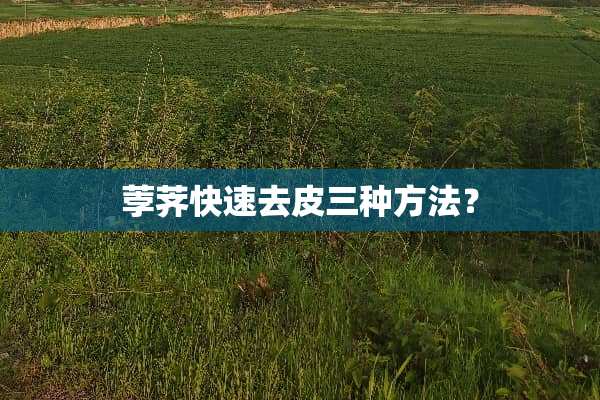 荸荠快速去皮三种方法？