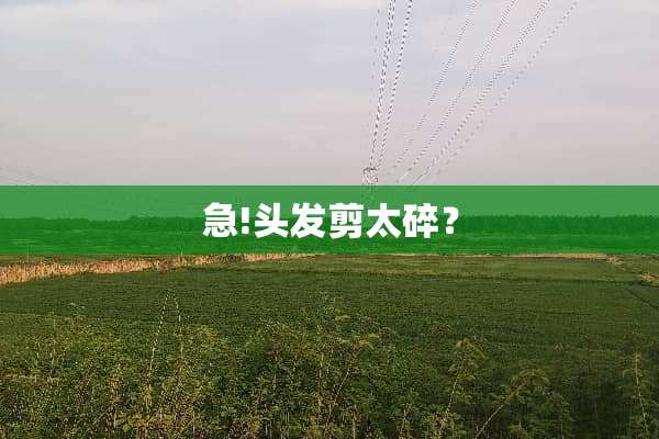 急!头发剪太碎？