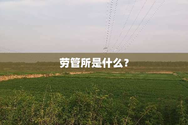 劳管所是什么？