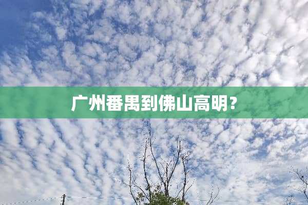 广州番禺到佛山高明？