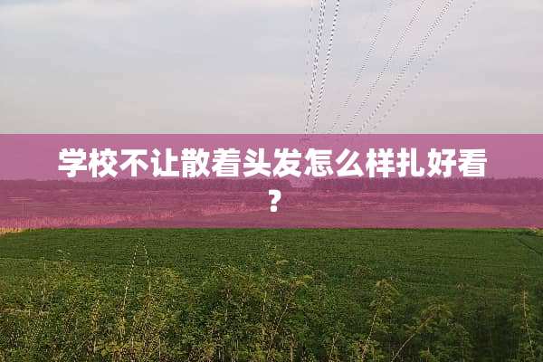 学校不让散着头发怎么样扎好看？
