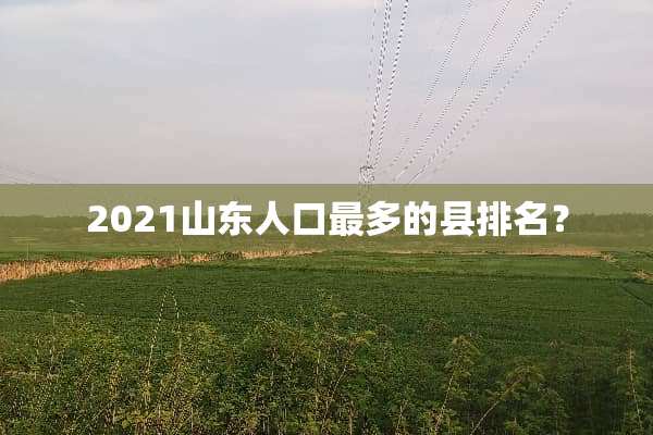 2021山东人口最多的县排名？