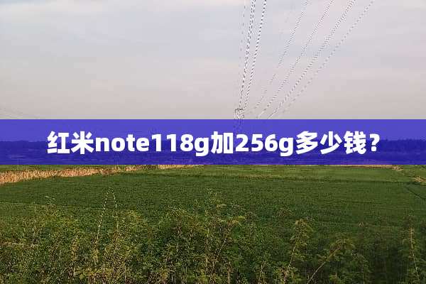 红米note118g加256g多少钱？