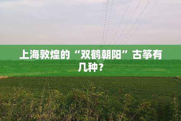 上海敦煌的“双鹤朝阳”古筝有几种？