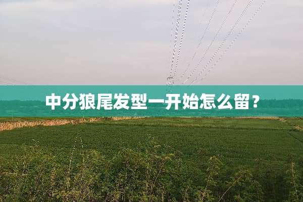 中分狼尾发型一开始怎么留？