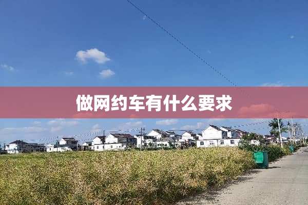 做网约车有什么要求