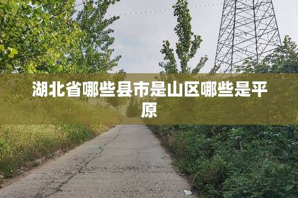 湖北省哪些县市是山区哪些是平原