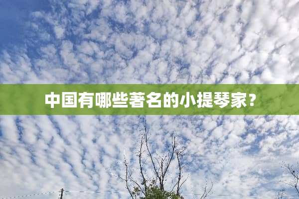 中国有哪些著名的小提琴家？