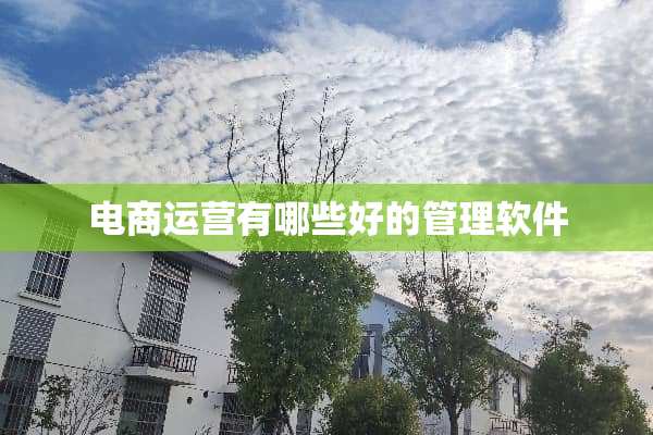 电商运营有哪些好的管理软件