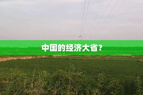 中国的经济大省？