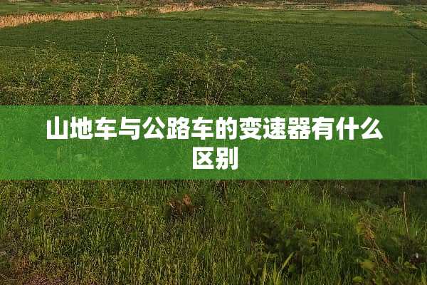 山地车与公路车的变速器有什么区别