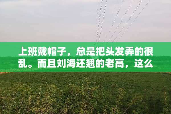 上班戴帽子，总是把头发弄的很乱。而且刘海还翘的老高，这么做，头发才不翘？