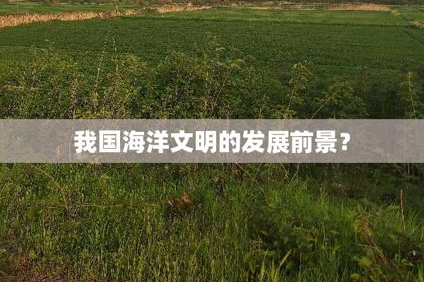 我国海洋文明的发展前景？