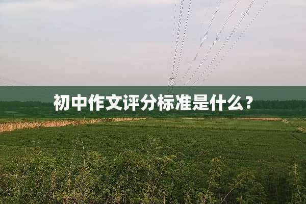 初中作文评分标准是什么？