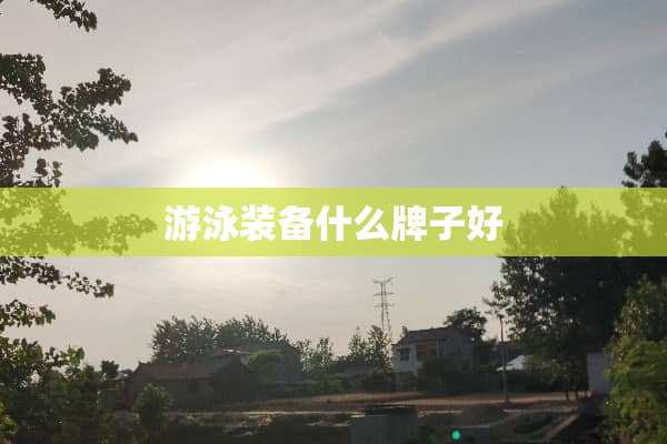 游泳装备什么牌子好