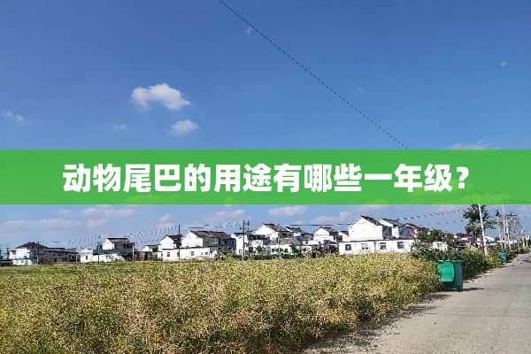 动物尾巴的用途有哪些一年级？