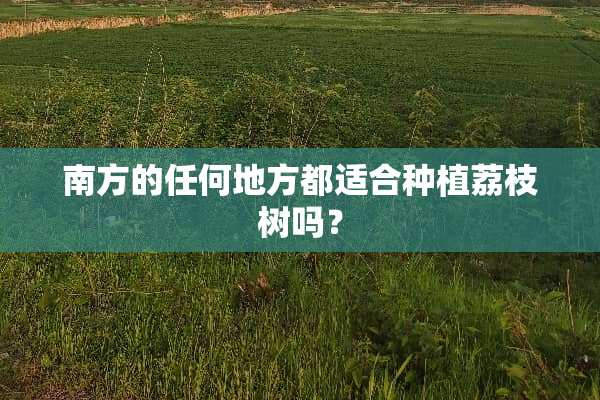 南方的任何地方都适合种植荔枝树吗？